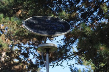 A solar panel is installed on a tree, allowing it to absorb sunlight effectively in a natural setting. This eco-friendly setup harnesses renewable energy. clipart