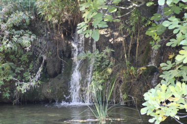 A serene waterfall flows gently over rocky terrain, surrounded by vibrant greenery and sunlight filtering through leaves, creating a tranquil atmosphere. clipart