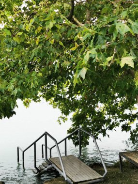 Huzurlu göl kenarı gösterileri yıpranmış ahşap iskele kısmen suya batmış, canlı yeşil yapraklar ve ağaçlarla çevrili, sakin bir atmosfer izlenimi uyandırıyor..