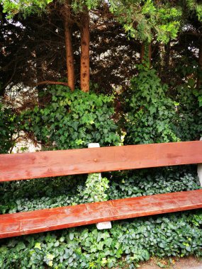 A wooden bench sits peacefully amidst dense green foliage, providing a serene spot for relaxation in the tranquil park during a sunny afternoon. clipart