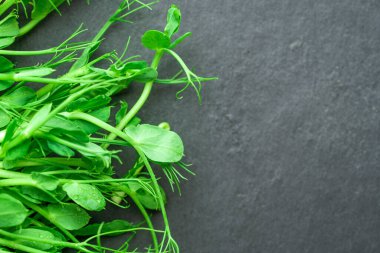 Siyah desenli arka planda taze mikroyeşil bezelye filizleri. Sağlıklı ve sağlıklı yemekler..