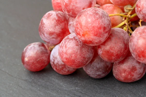 采摘成熟 红葡萄 特大号浆果 — 图库照片
