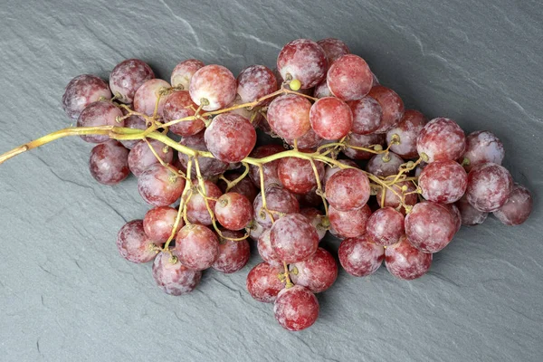 Oogst Van Rijpe Sappige Rode Druiven Met Grote Bessen Close — Stockfoto