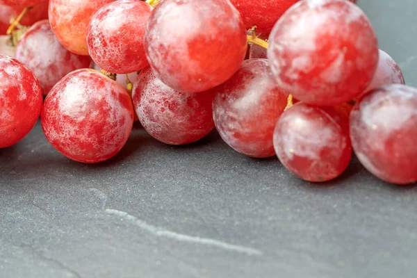Récolte Raisins Rouges Mûrs Juteux Avec Gros Plan Sur Les — Photo