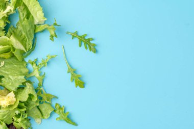 Salata karışımı arka planda kalır. Taze salata desenli roka, mor marul, ıspanak, frizbi ve bahçe yaprağı.