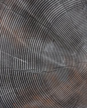 Ahşap dokulu dekoratif alçı elementleri. Ahşap taklit duvar kaplaması