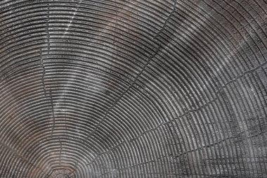 Ahşap dokulu dekoratif alçı elementleri. Ahşap taklit duvar kaplaması