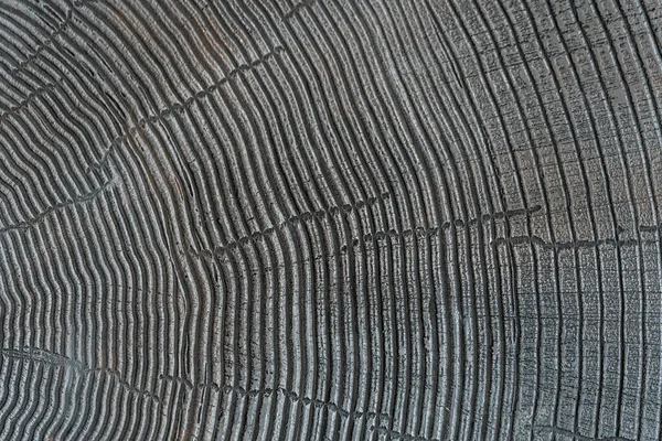 Елементи Декоративної Штукатурки Текстурою Дерева Дерев Яне Імітаційне Покриття Стін — стокове фото