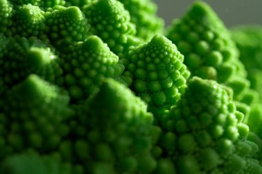 Romanesco lahanasının yeşil sebze arka planı. Romanesco lahanası yakın plan. Tarım işi. Sebze yetiştiriyorum. Bitki yetiştiriyor.