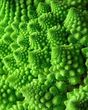 Romanesco lahanasının yeşil sebze arka planı. Romanesco lahanası yakın plan. Tarım işi. Sebze yetiştiriyorum. Bitki yetiştiriyor.