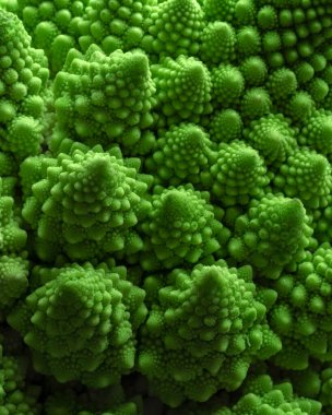 Romanesco lahanasının yeşil sebze arka planı. Romanesco lahanası yakın plan. Tarım işi. Sebze yetiştiriyorum. Bitki yetiştiriyor.