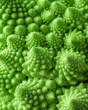 Romanesco lahanasının yeşil sebze arka planı. Romanesco lahanası yakın plan. Tarım işi. Sebze yetiştiriyorum. Bitki yetiştiriyor.