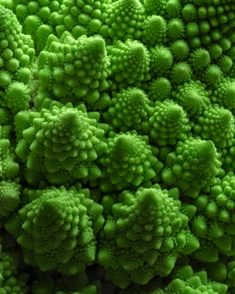 キャベツの緑の野菜の背景 Romanesco Cabbage Close 農業事業 野菜の栽培 成長する植物 — ストック写真