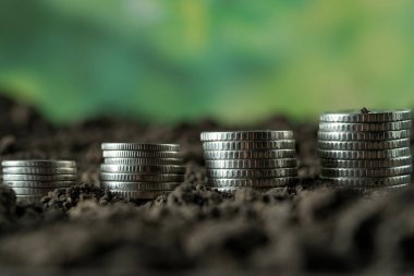 Toprakta yeşil yapraklı ve ağaçlı para büyümesi kavramı, iş ve tarım başarısı finansmanı. Tarım bitkisi yetiştirme Bahçede adım kavramı