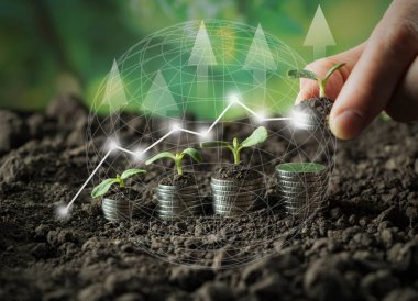 Toprakta yeşil yapraklı ve ağaçlı para büyümesi kavramı, iş ve tarım başarısı finansmanı. Tarım bitkisi yetiştirme Bahçede adım kavramı