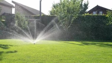 Automatic lawn sprinkler in action watering green grass in summer on the lawn