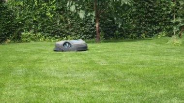 Mowing green gazan with a gas mower robot