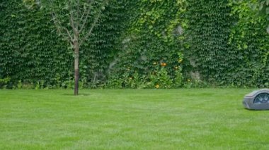 Mowing green gazan with a gas mower robot
