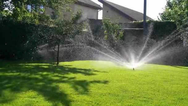 Automatic Lawn Sprinkler Action Watering Green Grass Summer Lawn — Video Stock