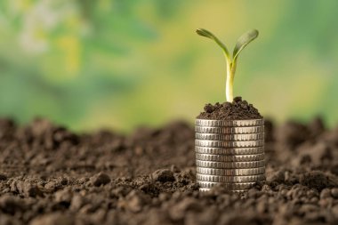 Para, Amerikan dolarları. Kağıt para gümüş paralarla masaya saçıldı. Finansal ve ekonomik kavramlar için fotoğraf.