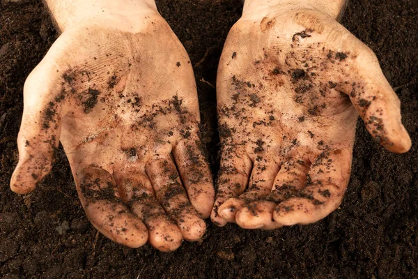 Hands covered with earth. Dirty hands of a working Farmer - corns on the palms in abrasions. hard work concept
