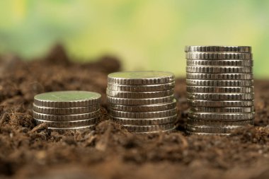 Toprak ve ağaç kavramında büyüyen para, iş başarısı finans