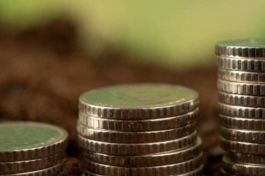 Toprak ve ağaç kavramında büyüyen para, iş başarısı finans