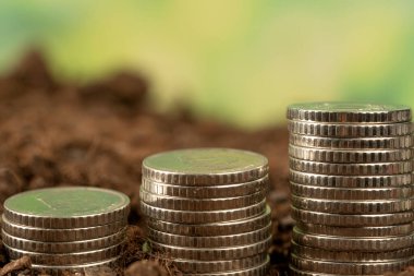 Toprak ve ağaç kavramında büyüyen para, iş başarısı finans