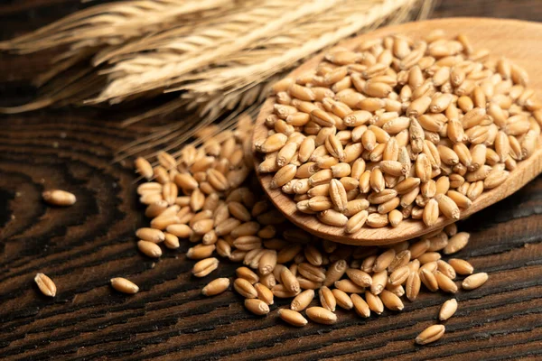 Money on the background of spikelets of wheat. Export of grain and agriculture. Rising prices for agricultural products