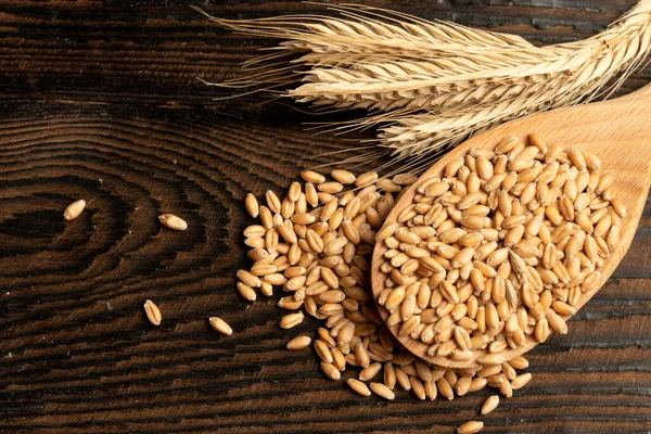 Money on the background of spikelets of wheat. Export of grain and agriculture. Rising prices for agricultural products