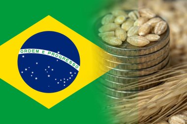 Arkaplanda Brezilya bayrağı ve yakın çekimde paralar. Buğday ve tahıl ihracatı. Dünya gıda krizi. Lojistik çözeltiyi aktar