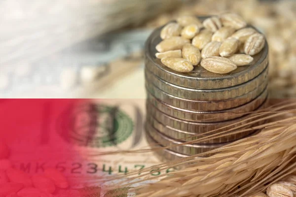 Polish flag on a grain background with coins close-up. Export of wheat and grain. World food crisis. Export logistics solution