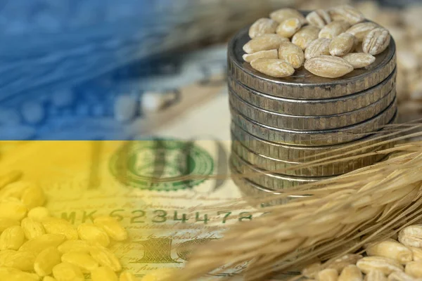 Ουκρανική Σημαία Φόντο Κόκκων Κοντινά Νομίσματα Εξαγωγή Σιταριού Και Σιτηρών — Φωτογραφία Αρχείου