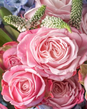 Güzel, canlı, renkli, karışık çiçek buketi natürmort