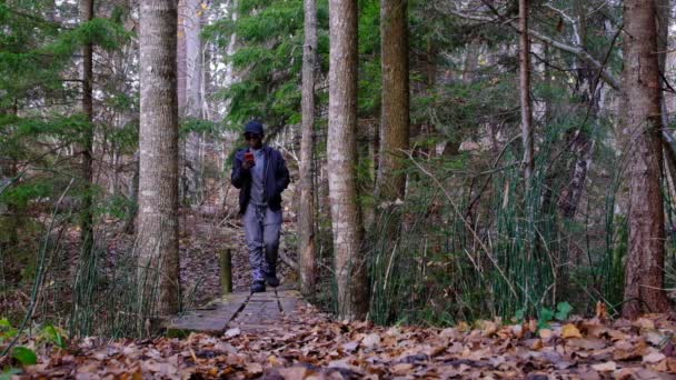 Donna Africana Cammina Con Cellulare Ponte Legno Nella Foresta Autunnale — Video Stock