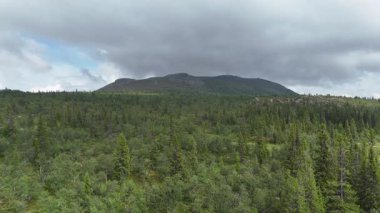 Ağaçların üzerinden İsveç 'teki ıssız bir dağa doğru uçan bir dron manzaralı dağlar.
