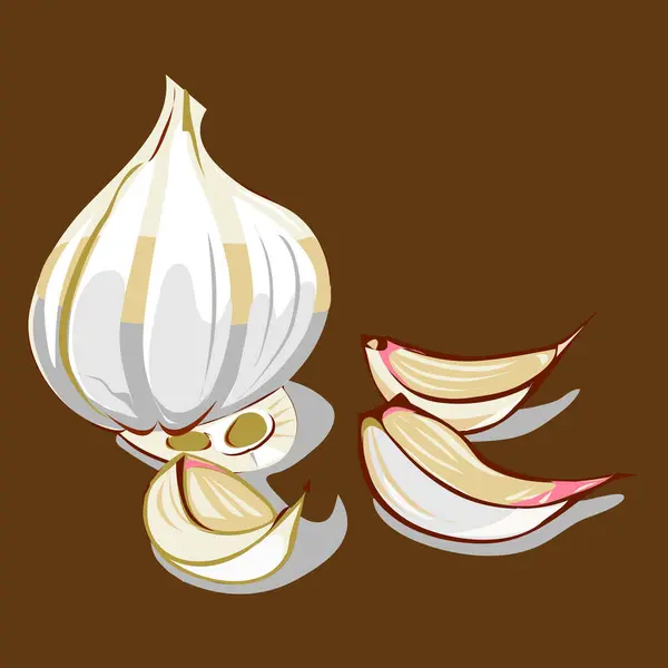 Sarımsak Ampulü, vektör illüstrasyonunu değiştirdi