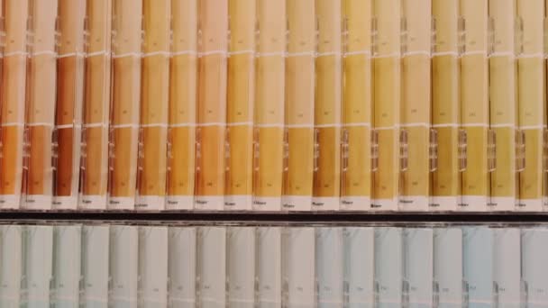 Warna Swatch Buku Warna Sampel Rainbow Katalog Rekaman Fullhd Berkualitas — Stok Video