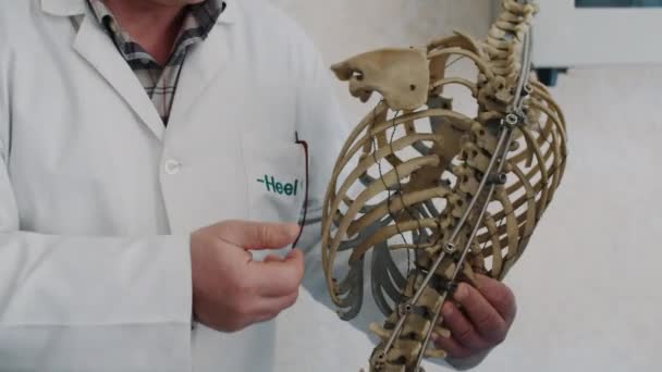 Scientist Examining Bones Hands Top View Forensics Scientist Holding Human — стоковое видео