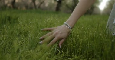 Huzurlu ve huzurlu bir an bir el yakalıyor doğanın canlı yeşil çimlerini nazikçe fırçalıyor.