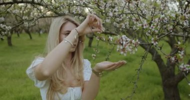 Zarif bir kadın çiçek açan bir meyve bahçesindeki canlı çiçeklere hayran kalır, bahar neşesinin özünü yakalar.