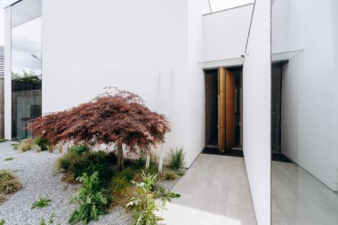 Güzel ahşap bir kapı ve önünde gururla duran bir ağaç olan büyüleyici beyaz bir ev. Resimli bir sahne yaratıyor.