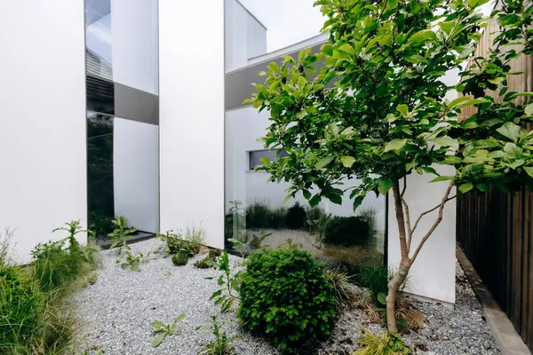 Yüksek bir binanın önündeki güzel bir bahçenin ortasında gölgelik bir ağaç duruyor.