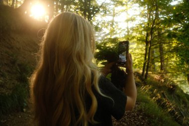 Bir kadın, bereketli ağaçların arasında parlayan güneşin güzel bir resmini yakalıyor. Doğanın güzelliğinin tadını çıkarıyor.