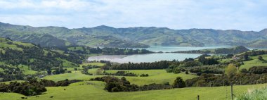 Bahar günü Canterbury Yeni Zelanda 'daki Akaroa Limanı Panaroması