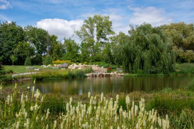 Scenic lake surrounded by flowering plants
