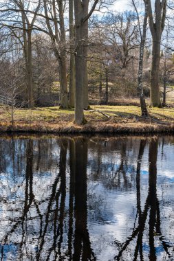 Doğanın güzel yansıması, sudaki ağaçlar. Bahar atmosferi, güneş ve mavi gökyüzü açık havada yansıyor.. 