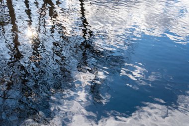 Doğanın güzel yansıması, sudaki ağaçlar. Bahar atmosferi, güneş ve mavi gökyüzü açık havada yansıyor.. 