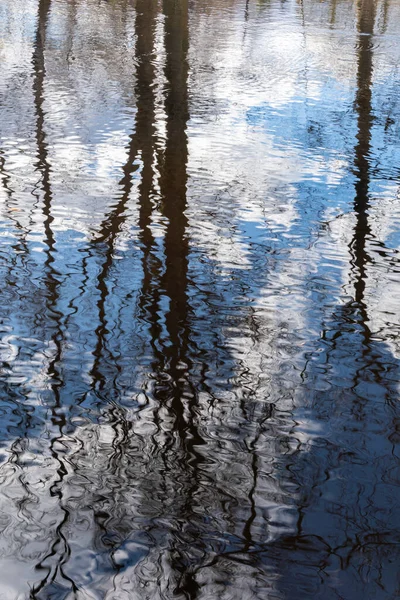 Gyönyörű Tükörképe Természetnek Fák Vízben Tavaszi Atmoszféra Nap Kék Tükröződés — Stock Fotó