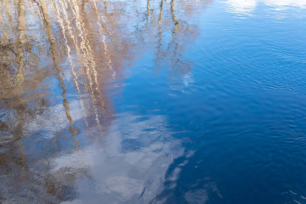 Vacker Reflektion Naturen Träd Vatten Vårstämning Sol Och Blå Himmel — Stockfoto